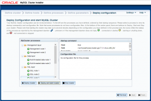 Figure 6: Confirm that all nodes are running