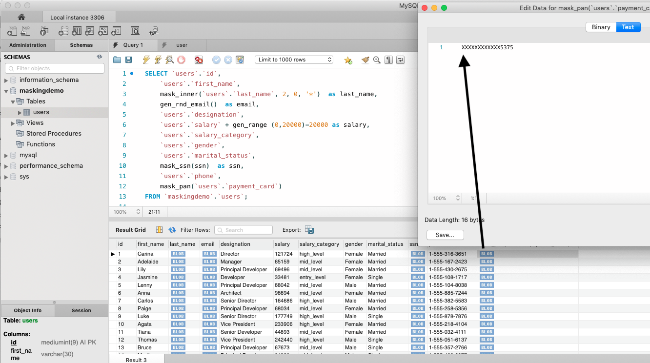 Masking on Sensitive Columns - without Casting results in binary blog data without a type